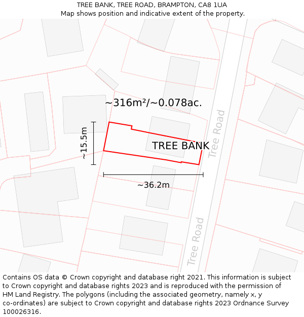 TREE BANK, TREE ROAD, BRAMPTON, CA8 1UA: Plot and title map