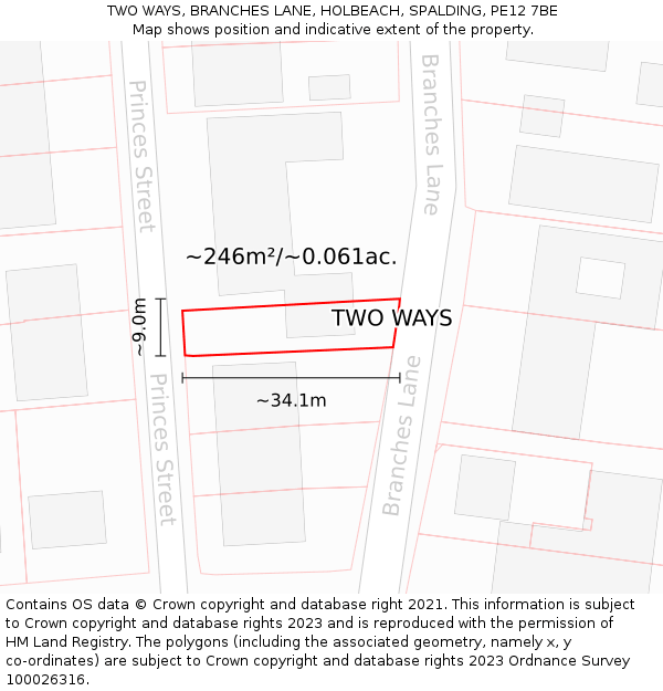 TWO WAYS, BRANCHES LANE, HOLBEACH, SPALDING, PE12 7BE: Plot and title map