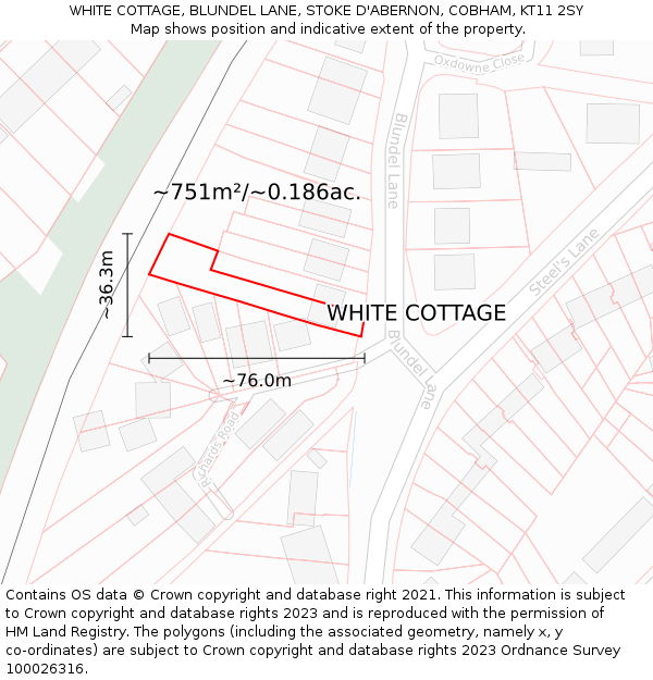 WHITE COTTAGE, BLUNDEL LANE, STOKE D'ABERNON, COBHAM, KT11 2SY: Plot and title map