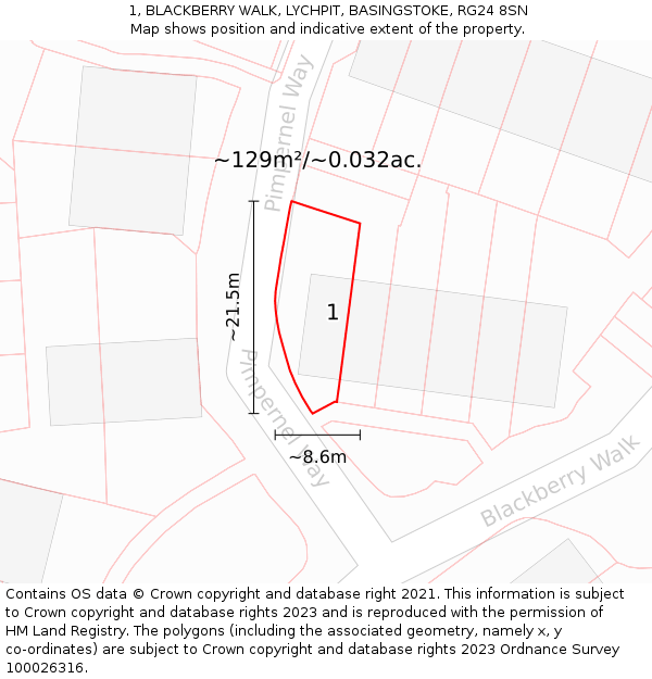 1, BLACKBERRY WALK, LYCHPIT, BASINGSTOKE, RG24 8SN: Plot and title map
