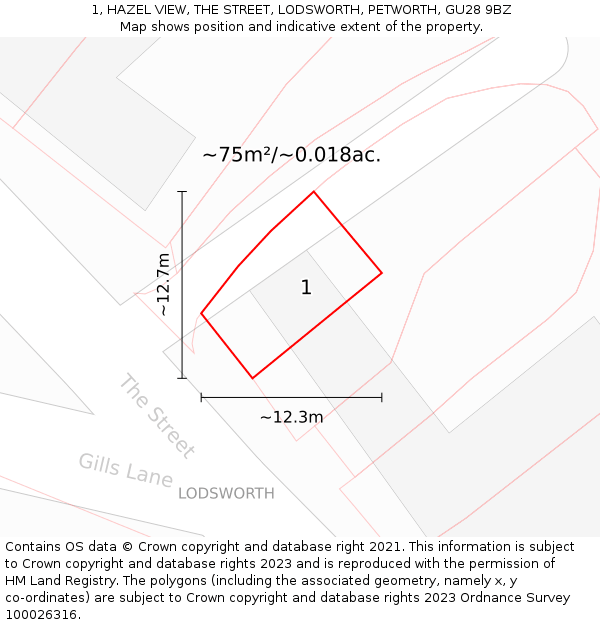 1, HAZEL VIEW, THE STREET, LODSWORTH, PETWORTH, GU28 9BZ: Plot and title map