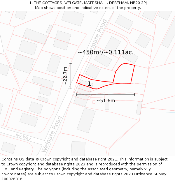 1, THE COTTAGES, WELGATE, MATTISHALL, DEREHAM, NR20 3PJ: Plot and title map