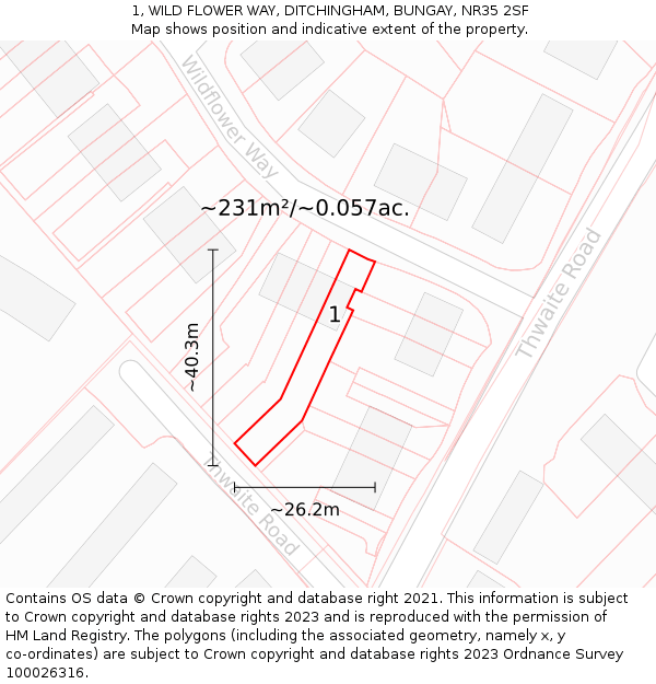1, WILD FLOWER WAY, DITCHINGHAM, BUNGAY, NR35 2SF: Plot and title map