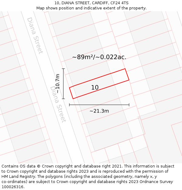 10, DIANA STREET, CARDIFF, CF24 4TS: Plot and title map