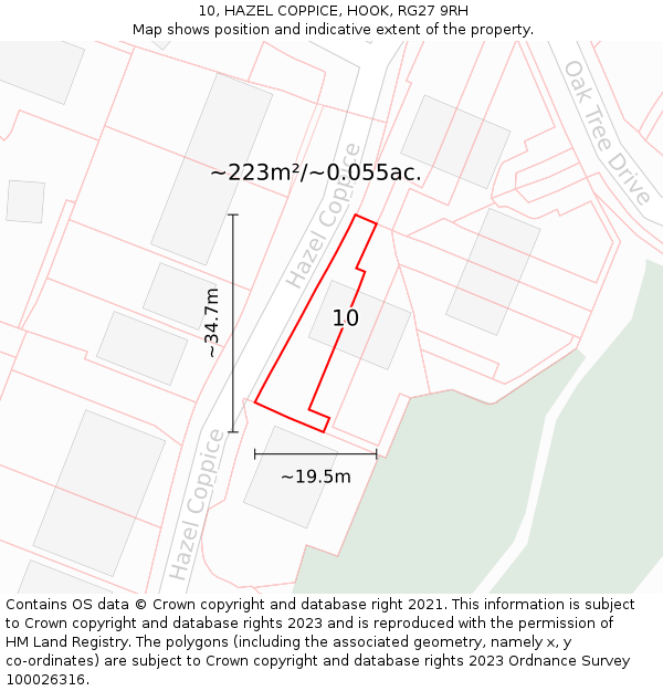 10, HAZEL COPPICE, HOOK, RG27 9RH: Plot and title map