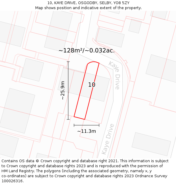 10, KAYE DRIVE, OSGODBY, SELBY, YO8 5ZY: Plot and title map