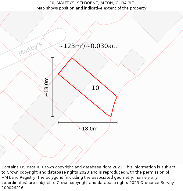 10, MALTBYS, SELBORNE, ALTON, GU34 3LT: Plot and title map
