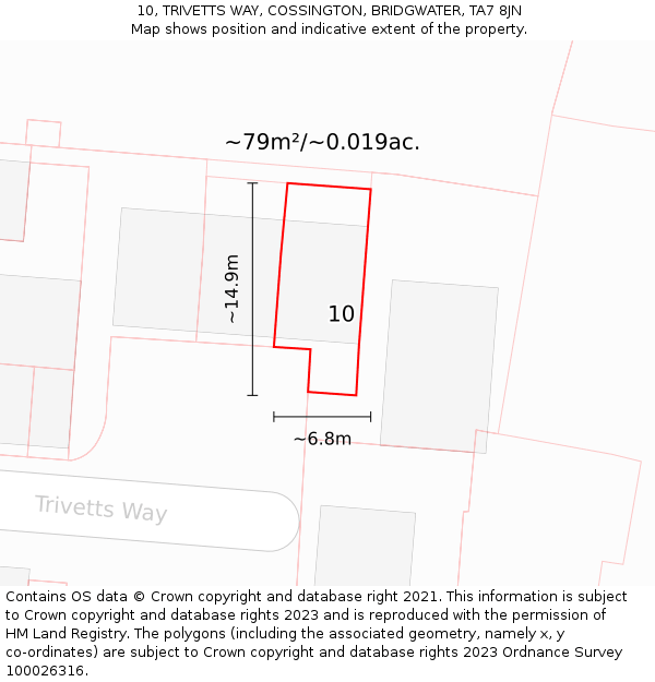 10, TRIVETTS WAY, COSSINGTON, BRIDGWATER, TA7 8JN: Plot and title map