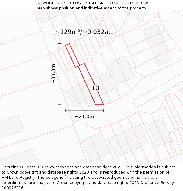 10, WODEHOUSE CLOSE, STALHAM, NORWICH, NR12 9BW: Plot and title map