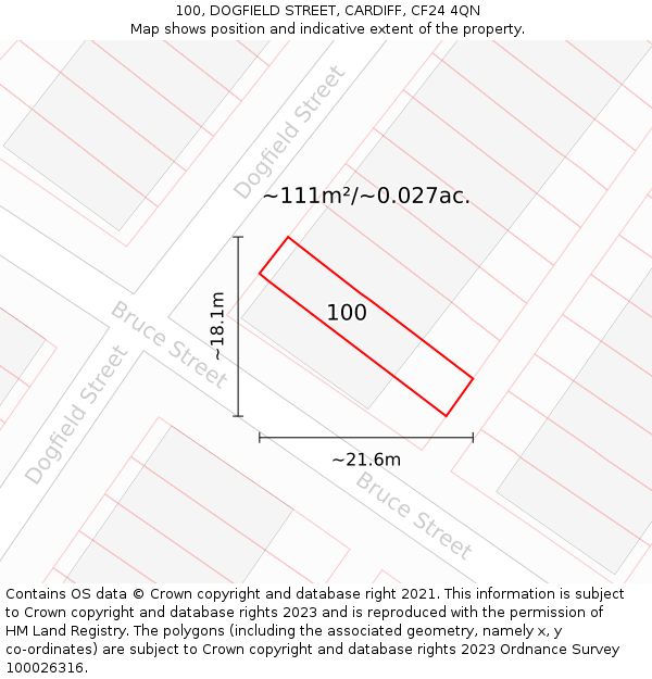 100, DOGFIELD STREET, CARDIFF, CF24 4QN: Plot and title map