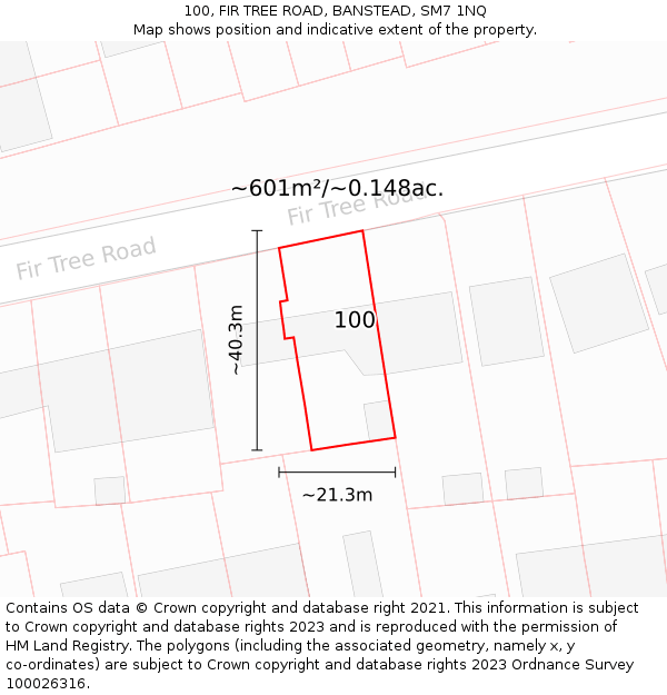 100, FIR TREE ROAD, BANSTEAD, SM7 1NQ: Plot and title map