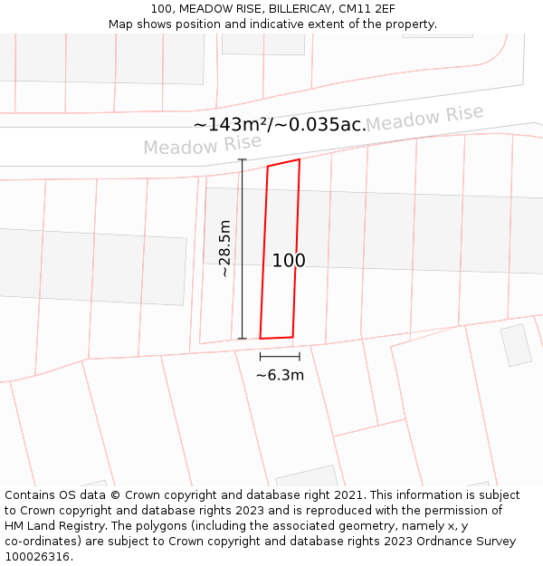 100, MEADOW RISE, BILLERICAY, CM11 2EF: Plot and title map