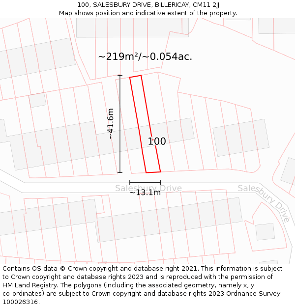 100, SALESBURY DRIVE, BILLERICAY, CM11 2JJ: Plot and title map