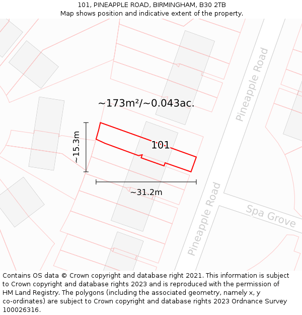 101, PINEAPPLE ROAD, BIRMINGHAM, B30 2TB: Plot and title map