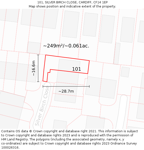 101, SILVER BIRCH CLOSE, CARDIFF, CF14 1EP: Plot and title map