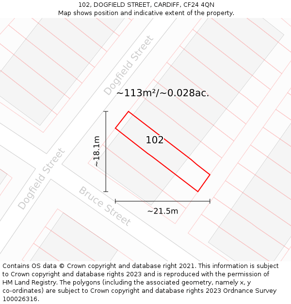 102, DOGFIELD STREET, CARDIFF, CF24 4QN: Plot and title map