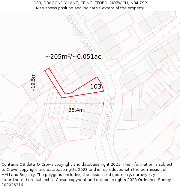 103, DRAGONFLY LANE, CRINGLEFORD, NORWICH, NR4 7SP: Plot and title map