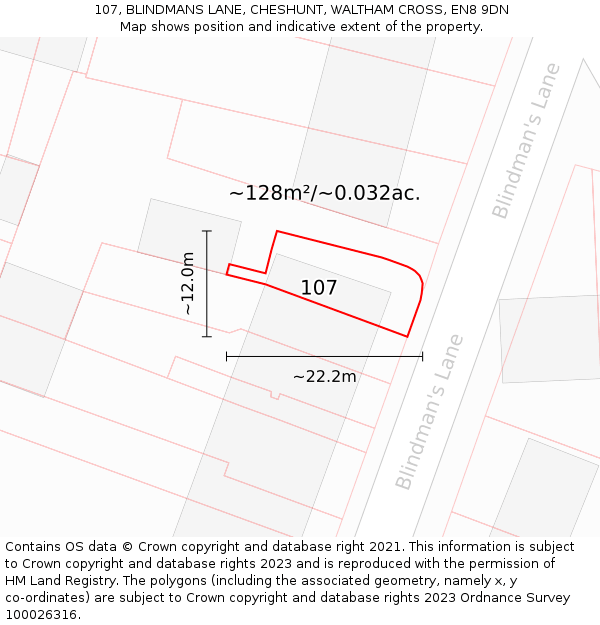 107, BLINDMANS LANE, CHESHUNT, WALTHAM CROSS, EN8 9DN: Plot and title map