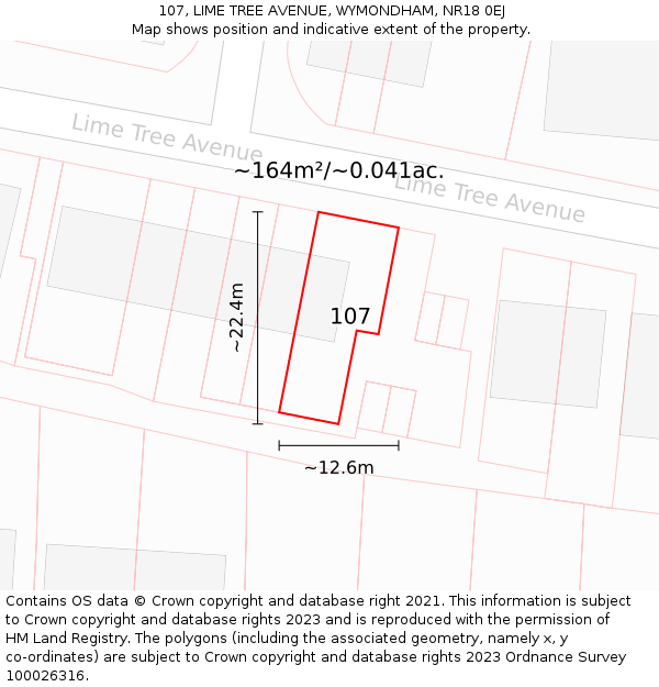 107, LIME TREE AVENUE, WYMONDHAM, NR18 0EJ: Plot and title map