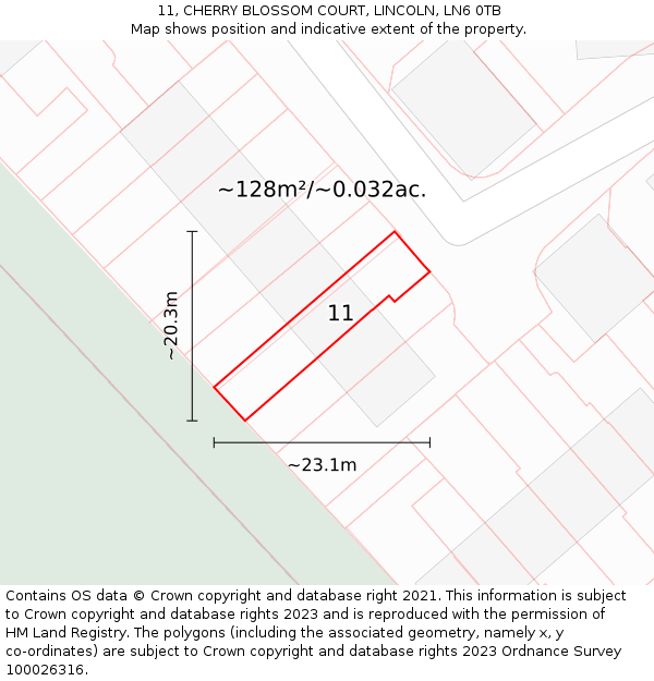 11, CHERRY BLOSSOM COURT, LINCOLN, LN6 0TB: Plot and title map