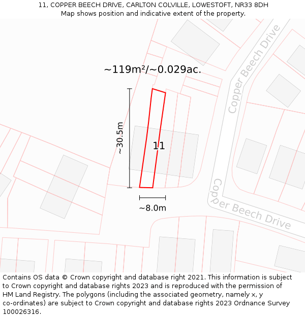 11, COPPER BEECH DRIVE, CARLTON COLVILLE, LOWESTOFT, NR33 8DH: Plot and title map
