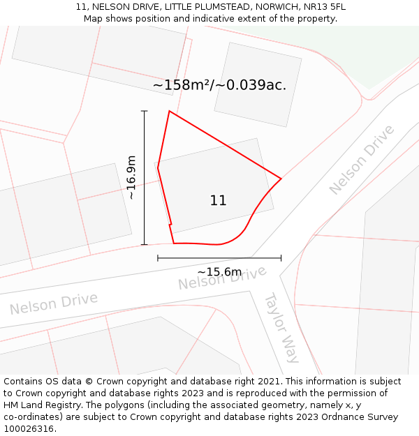 11, NELSON DRIVE, LITTLE PLUMSTEAD, NORWICH, NR13 5FL: Plot and title map