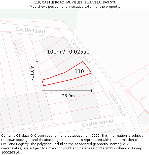 110, CASTLE ROAD, MUMBLES, SWANSEA, SA3 5TA: Plot and title map