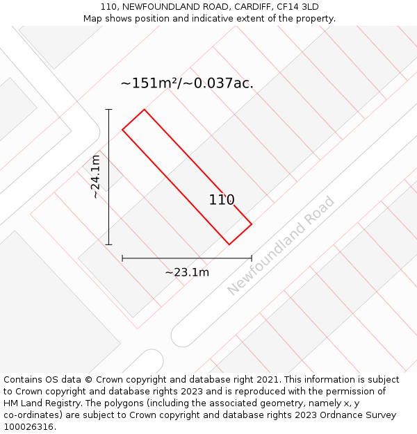 110, NEWFOUNDLAND ROAD, CARDIFF, CF14 3LD: Plot and title map