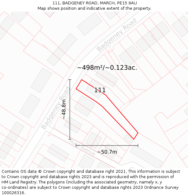 111, BADGENEY ROAD, MARCH, PE15 9AU: Plot and title map