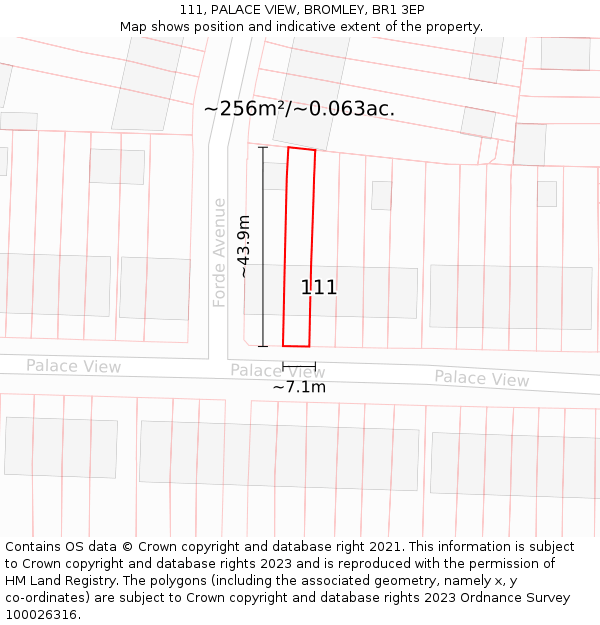 111, PALACE VIEW, BROMLEY, BR1 3EP: Plot and title map