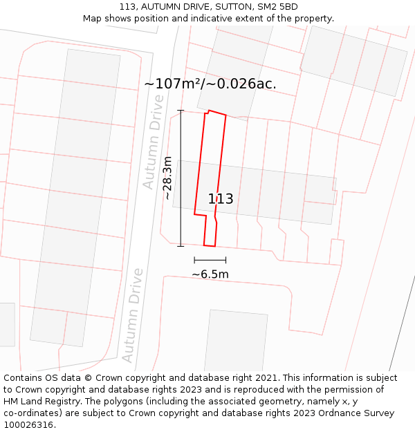 113, AUTUMN DRIVE, SUTTON, SM2 5BD: Plot and title map