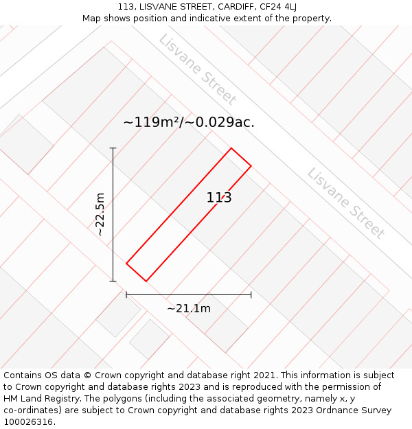 113, LISVANE STREET, CARDIFF, CF24 4LJ: Plot and title map