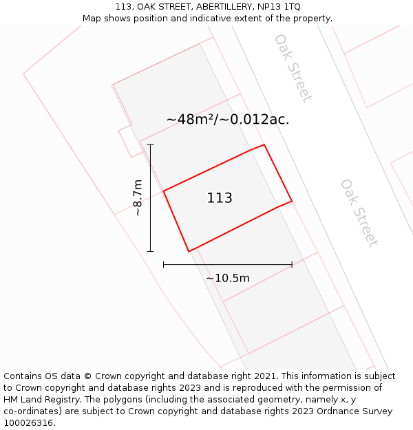 113, OAK STREET, ABERTILLERY, NP13 1TQ: Plot and title map