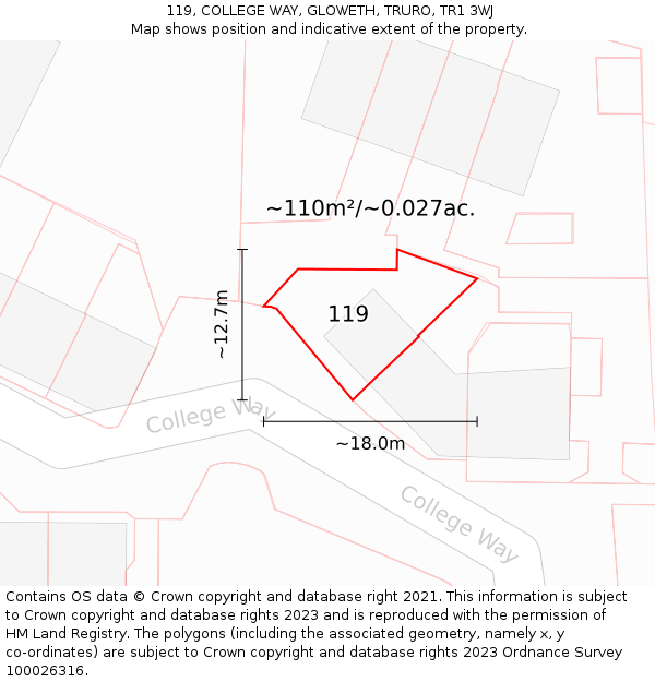 119, COLLEGE WAY, GLOWETH, TRURO, TR1 3WJ: Plot and title map