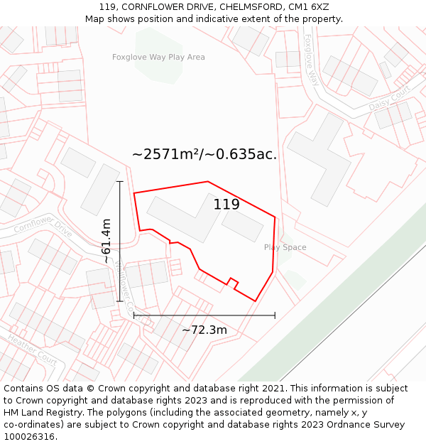 119, CORNFLOWER DRIVE, CHELMSFORD, CM1 6XZ: Plot and title map