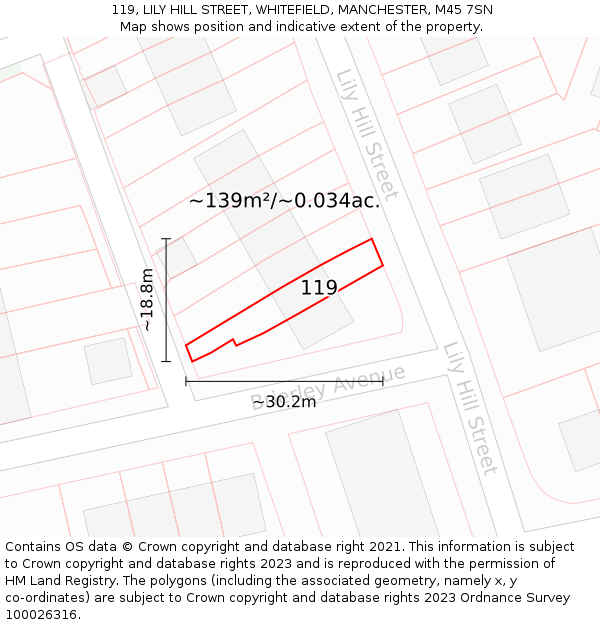 119, LILY HILL STREET, WHITEFIELD, MANCHESTER, M45 7SN: Plot and title map