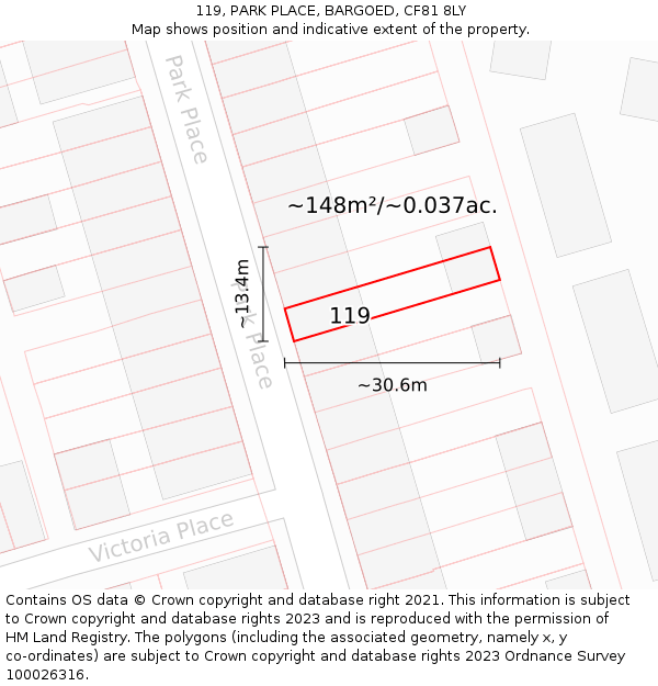 119, PARK PLACE, BARGOED, CF81 8LY: Plot and title map