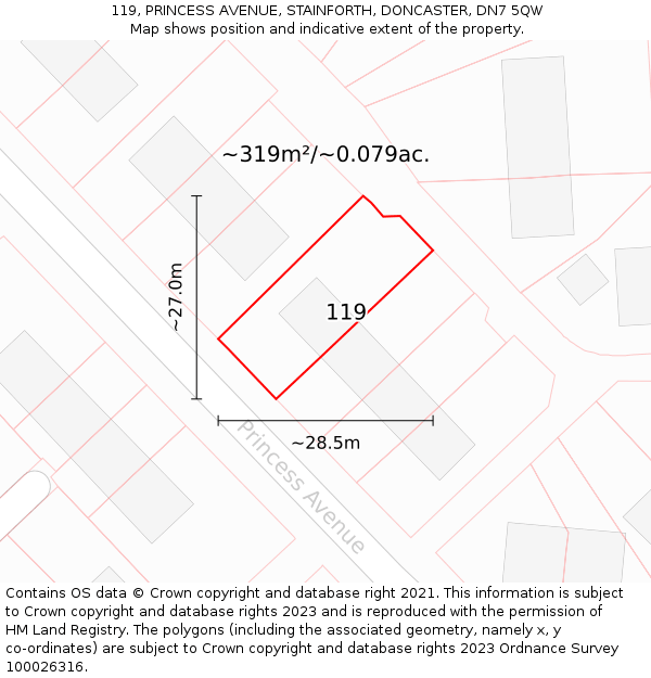 119, PRINCESS AVENUE, STAINFORTH, DONCASTER, DN7 5QW: Plot and title map