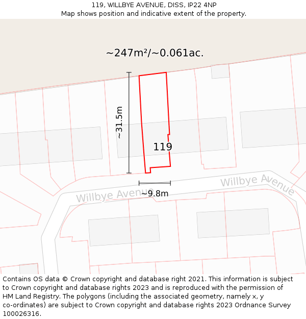 119, WILLBYE AVENUE, DISS, IP22 4NP: Plot and title map