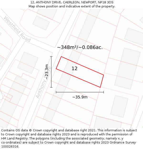 12, ANTHONY DRIVE, CAERLEON, NEWPORT, NP18 3DS: Plot and title map
