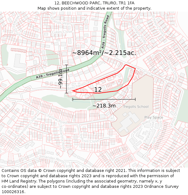 12, BEECHWOOD PARC, TRURO, TR1 1FA: Plot and title map