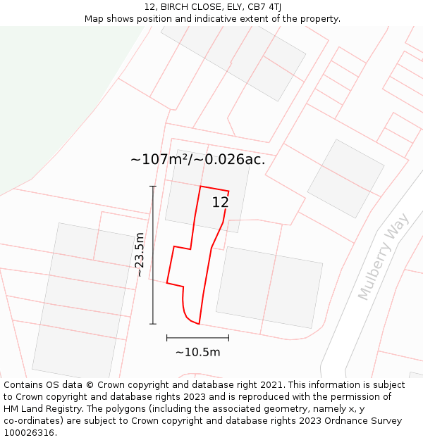 12, BIRCH CLOSE, ELY, CB7 4TJ: Plot and title map