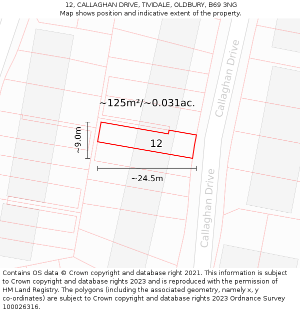 12, CALLAGHAN DRIVE, TIVIDALE, OLDBURY, B69 3NG: Plot and title map