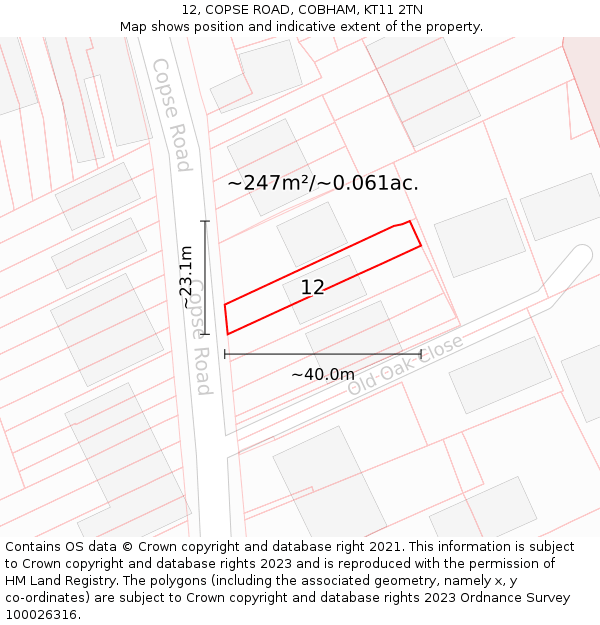 12, COPSE ROAD, COBHAM, KT11 2TN: Plot and title map
