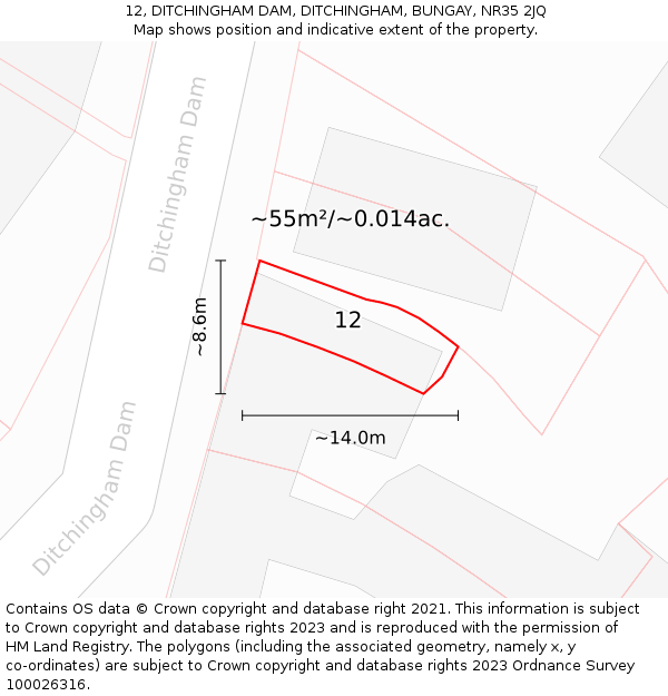 12, DITCHINGHAM DAM, DITCHINGHAM, BUNGAY, NR35 2JQ: Plot and title map