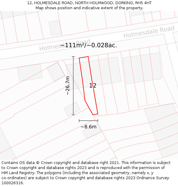 12, HOLMESDALE ROAD, NORTH HOLMWOOD, DORKING, RH5 4HT: Plot and title map