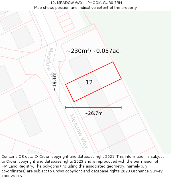 12, MEADOW WAY, LIPHOOK, GU30 7BH: Plot and title map