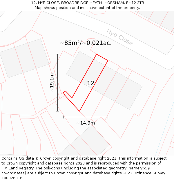 12, NYE CLOSE, BROADBRIDGE HEATH, HORSHAM, RH12 3TB: Plot and title map