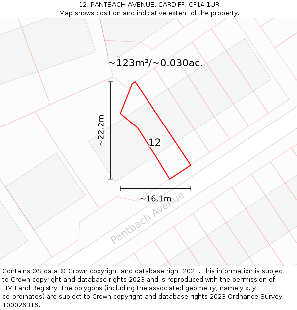 12, PANTBACH AVENUE, CARDIFF, CF14 1UR: Plot and title map