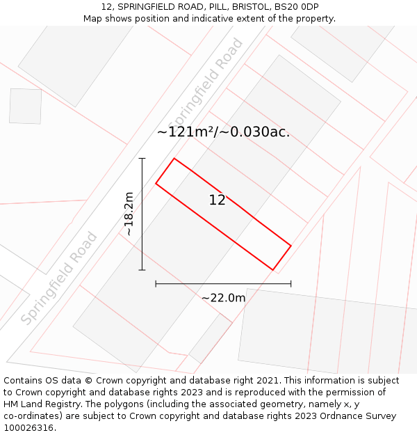 12, SPRINGFIELD ROAD, PILL, BRISTOL, BS20 0DP: Plot and title map